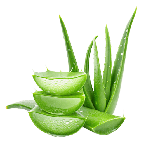 Calming Aloe